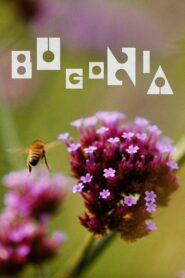 Bugonia cały film